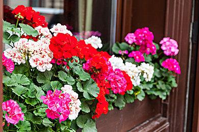 索尼确定《最终幻想16》将在发售前推出试玩演示